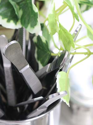 ループスライダー画像